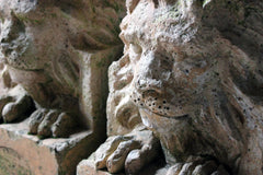 A Good Pair of c.1900 Terracotta Lions by Adam Mason & Sons of Horwich, Lancashire