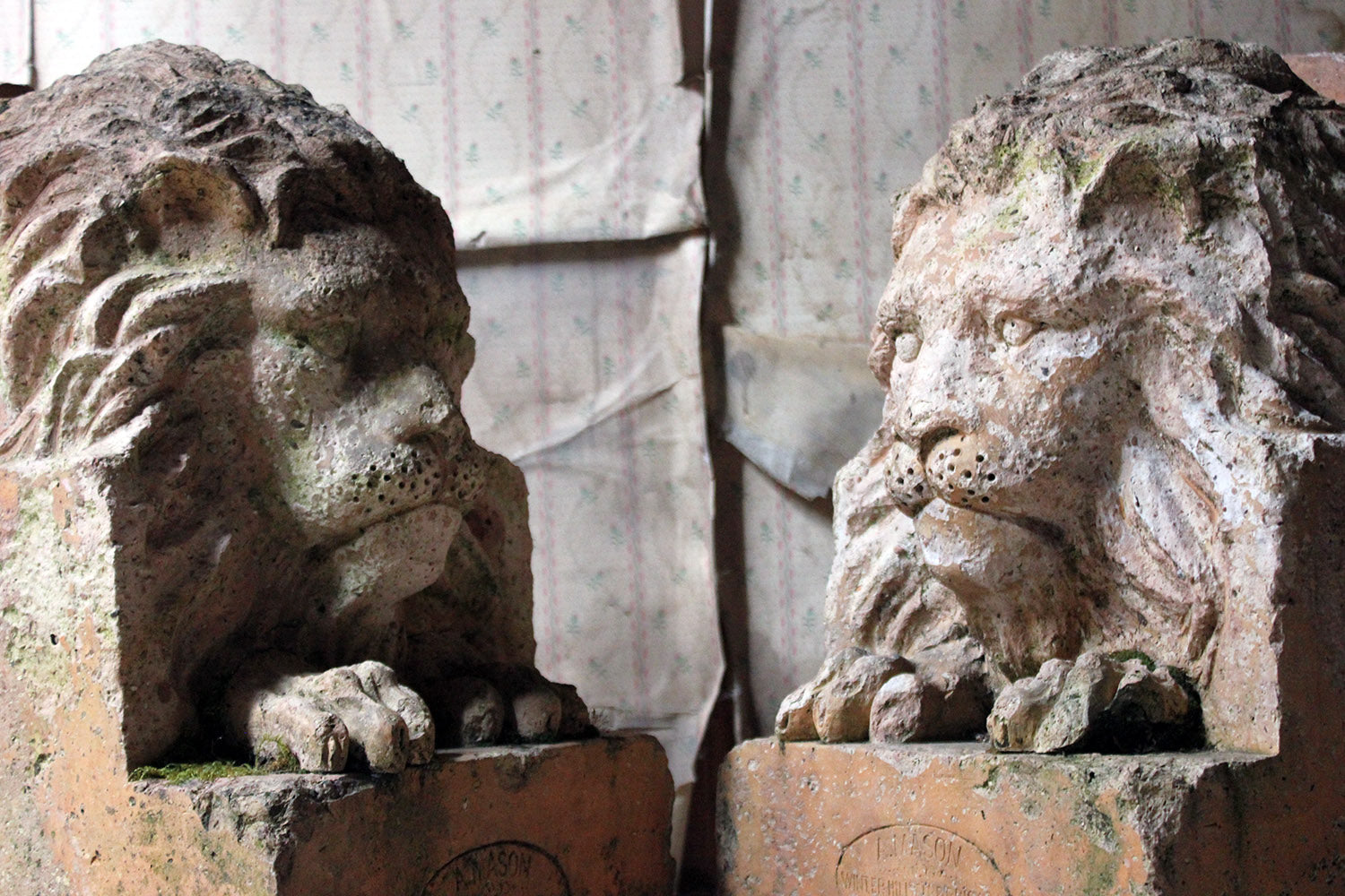 A Good Pair of c.1900 Terracotta Lions by Adam Mason & Sons of Horwich, Lancashire