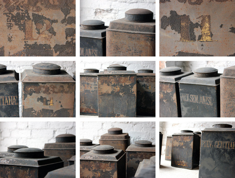 A Decorative Set of Five 19thC Black-Painted Toleware Apothecary Canisters