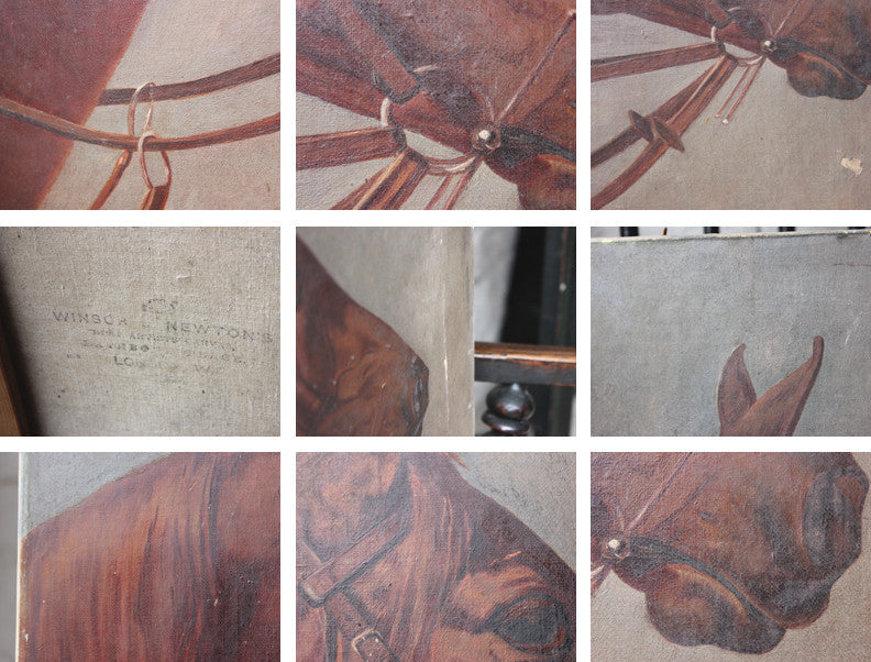 A Good Oil on Canvas Study of a Horse's Head, Dated 1912