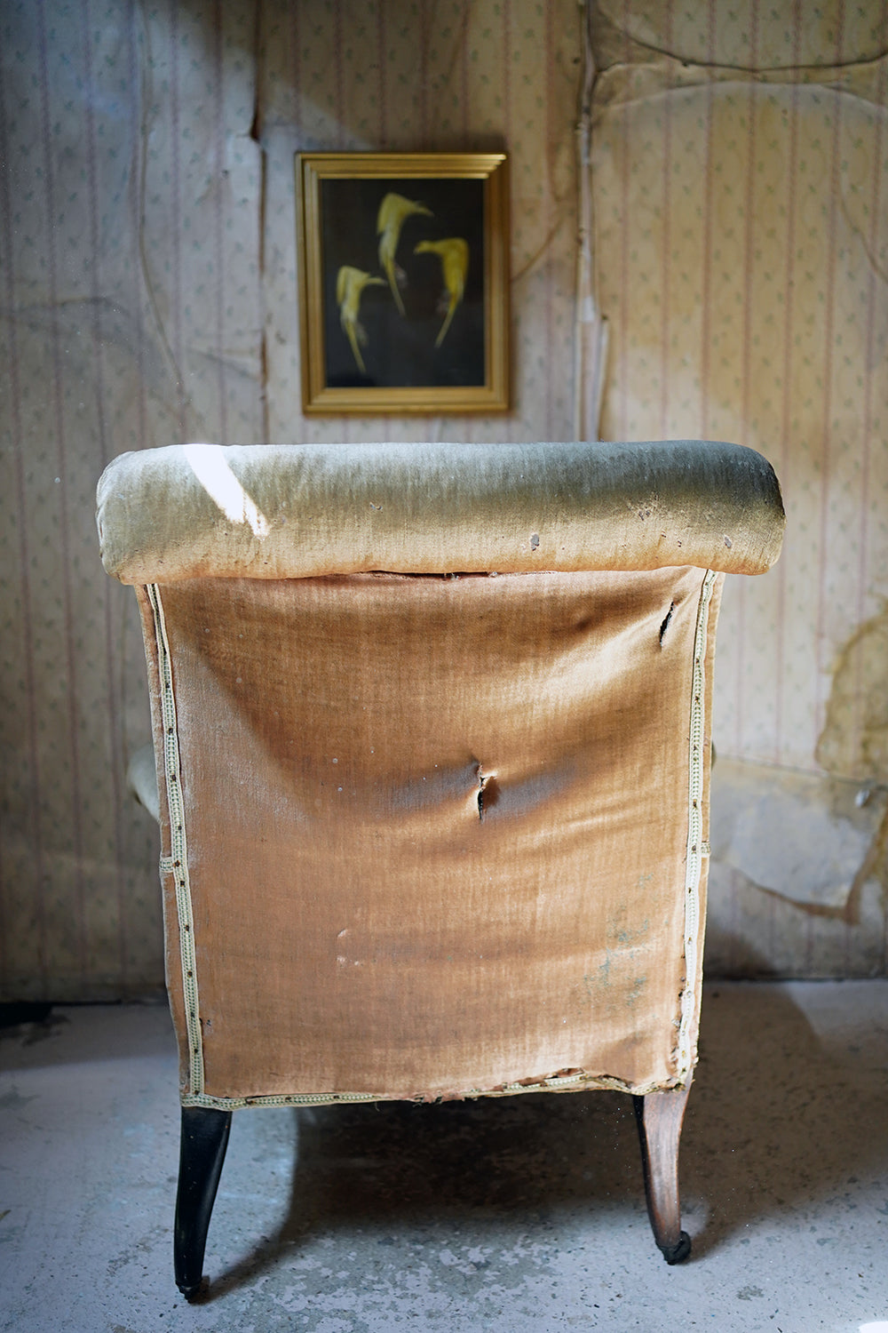A 19thC Ebonised Napoleon III French Armchair c.1870