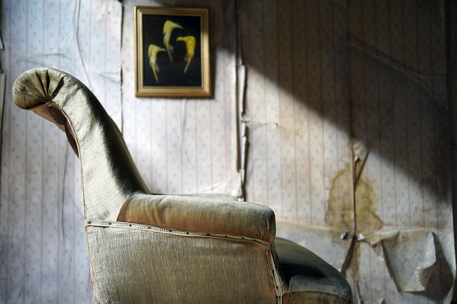 A 19thC Ebonised Napoleon III French Armchair c.1870