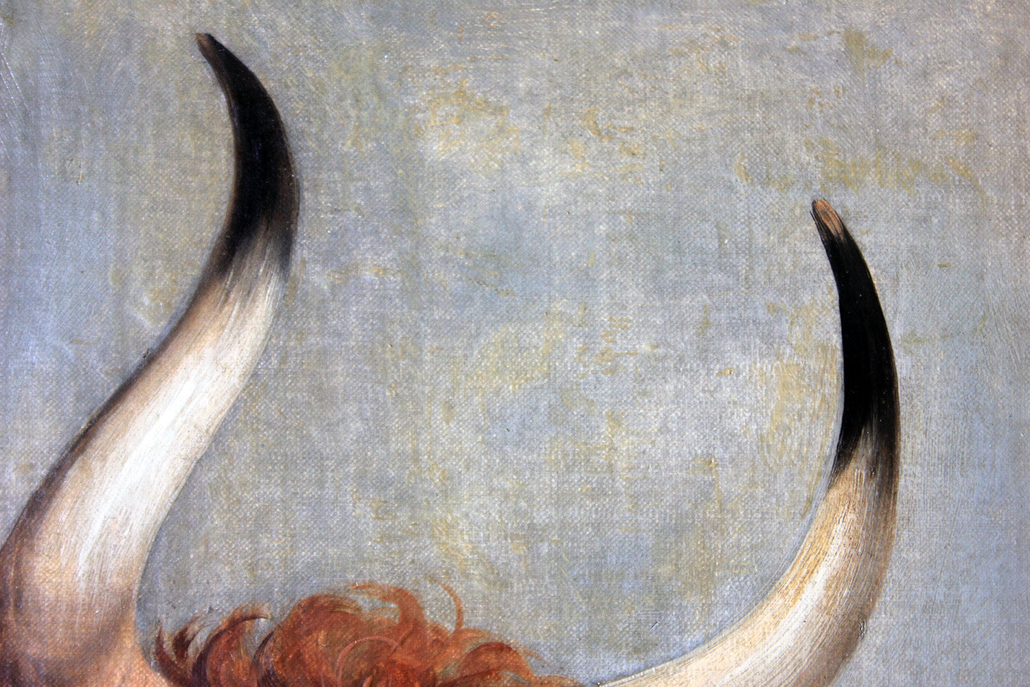 A 19thC English School Study of a Red Devon Bull