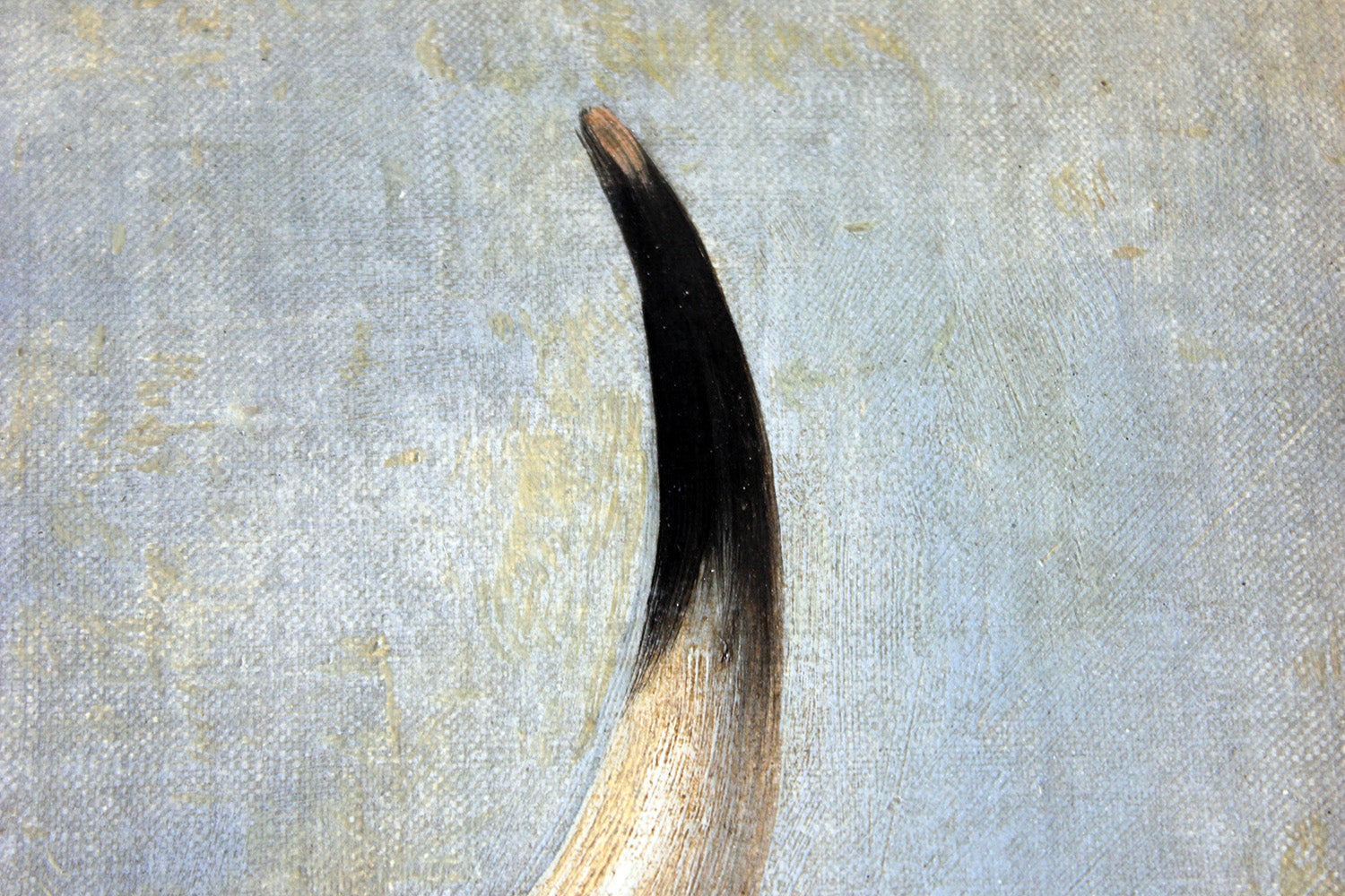 A 19thC English School Study of a Red Devon Bull