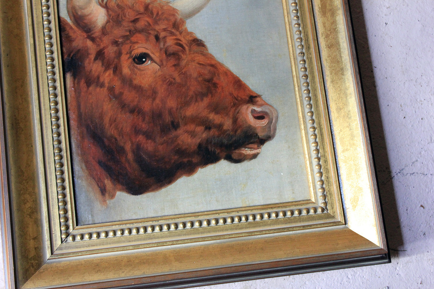 A 19thC English School Study of a Red Devon Bull