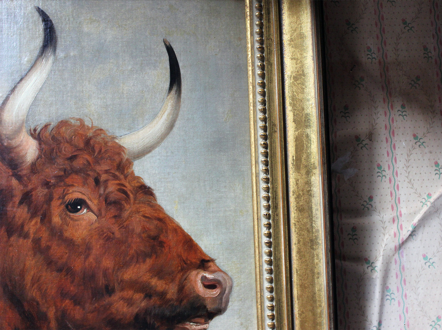 A 19thC English School Study of a Red Devon Bull