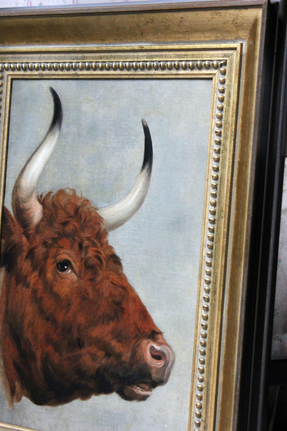 A 19thC English School Study of a Red Devon Bull