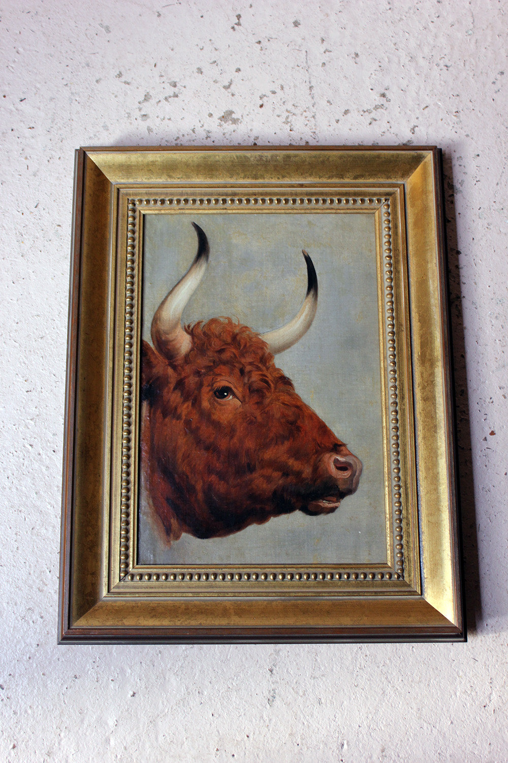 A 19thC English School Study of a Red Devon Bull