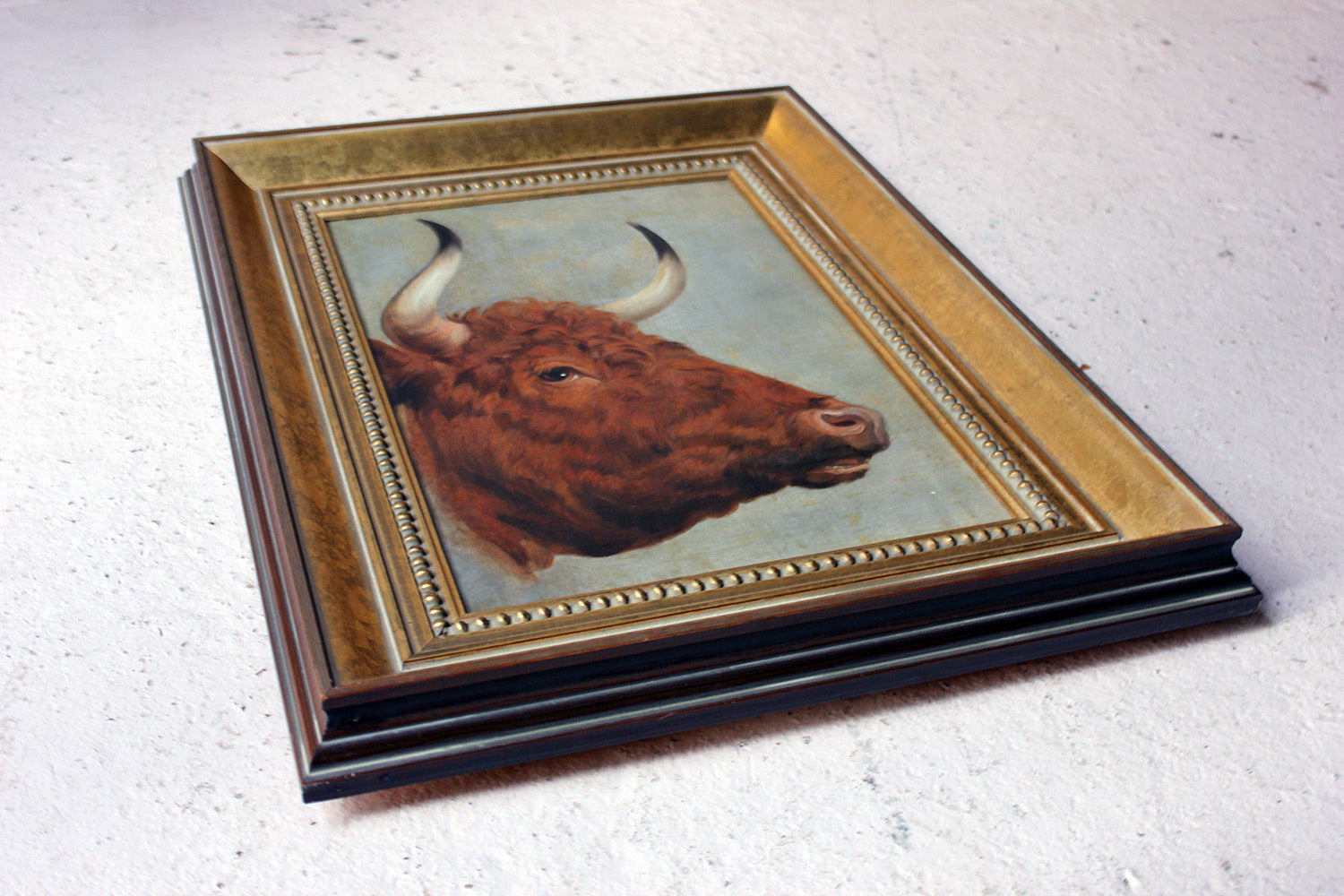 A 19thC English School Study of a Red Devon Bull