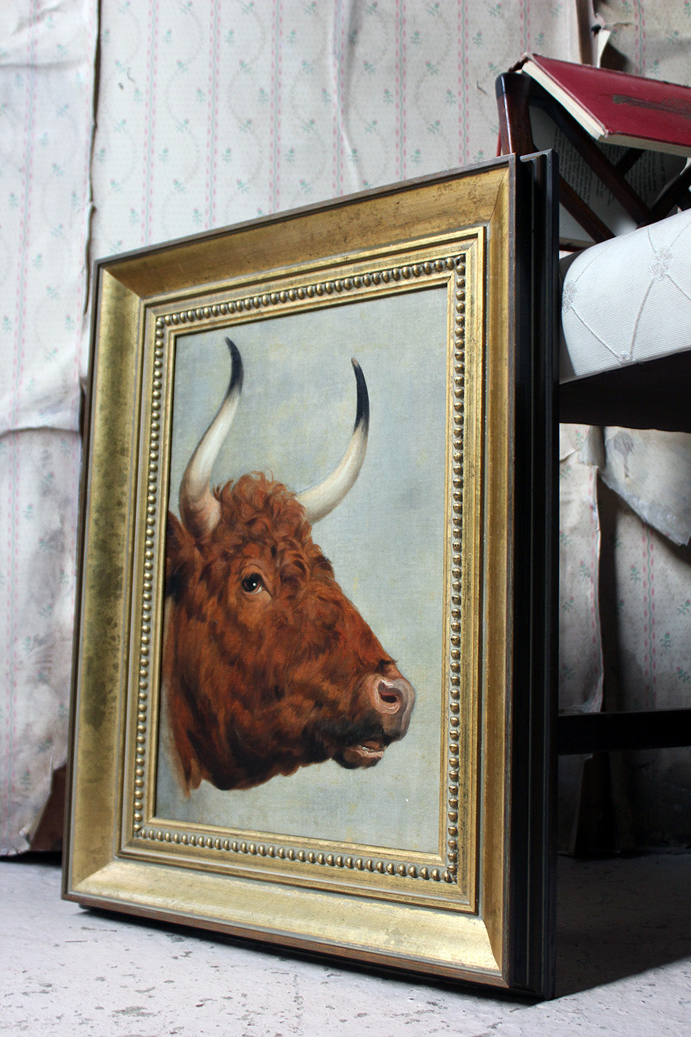 A 19thC English School Study of a Red Devon Bull