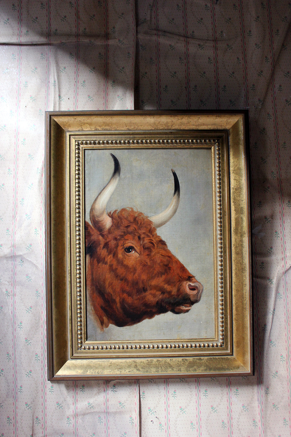 A 19thC English School Study of a Red Devon Bull