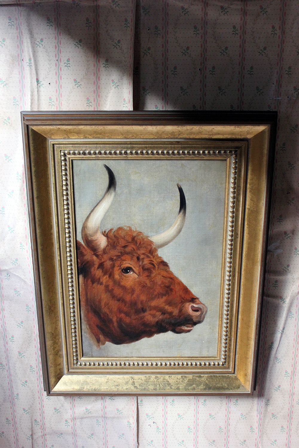 A 19thC English School Study of a Red Devon Bull