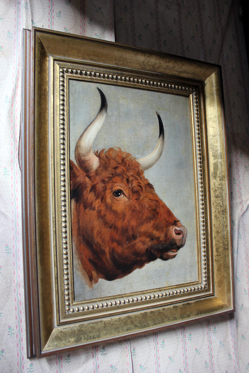 A 19thC English School Study of a Red Devon Bull