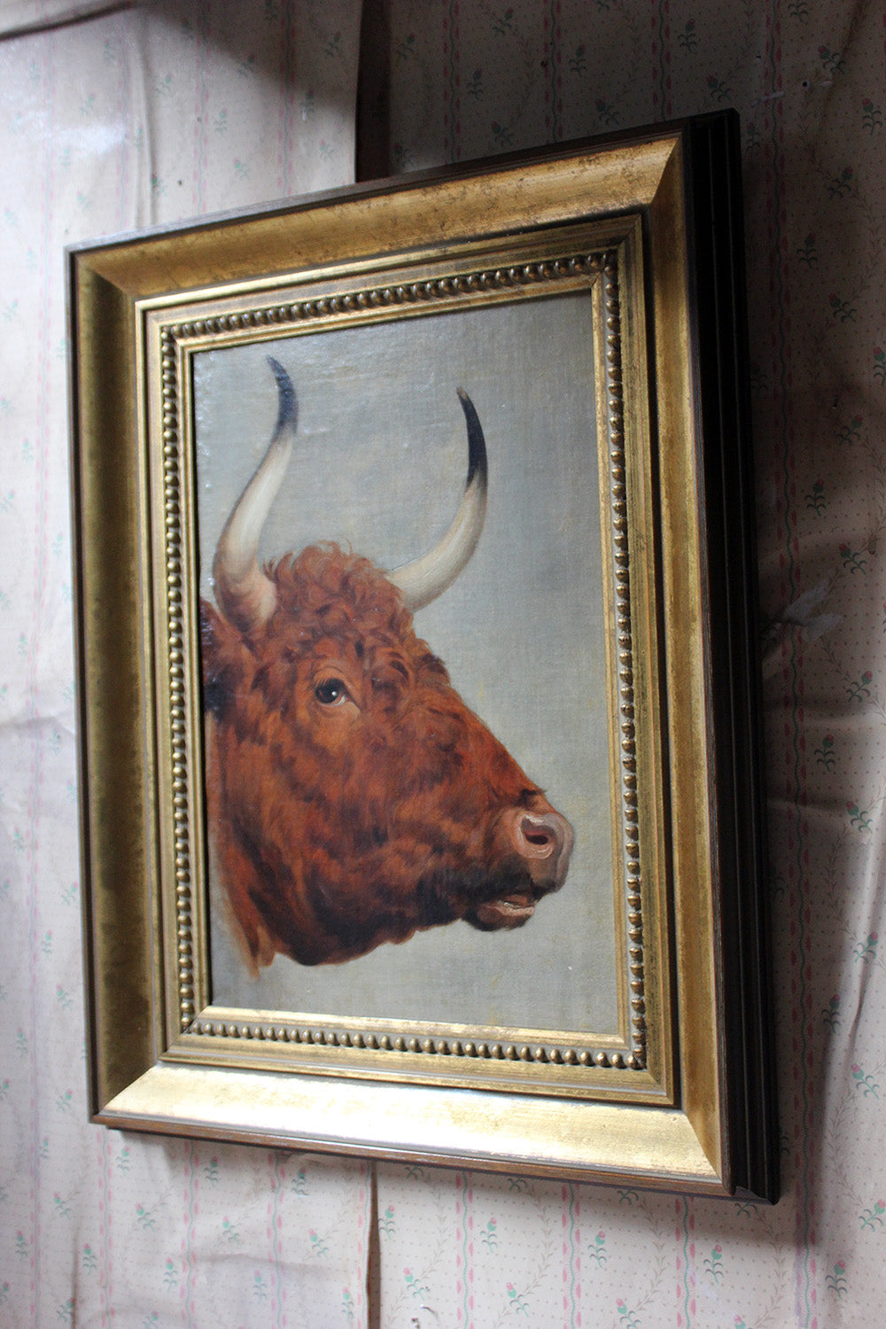 A 19thC English School Study of a Red Devon Bull