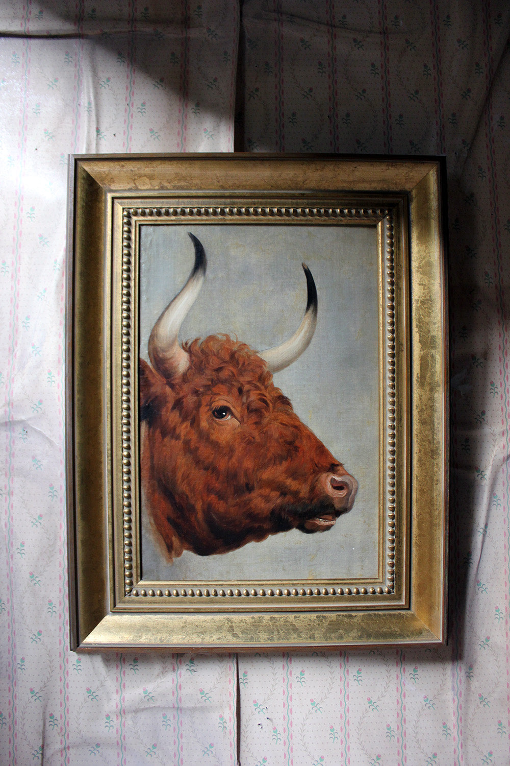 A 19thC English School Study of a Red Devon Bull