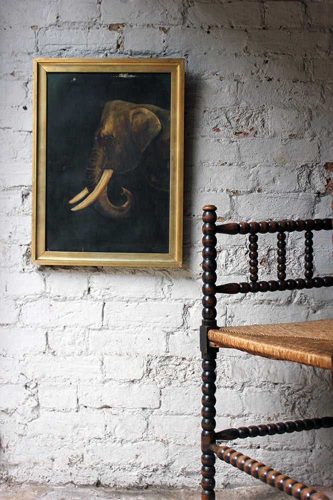 A Charming Edwardian Period English School Oil on Canvas of an African Elephant Dated to 1906 by E Whiteley