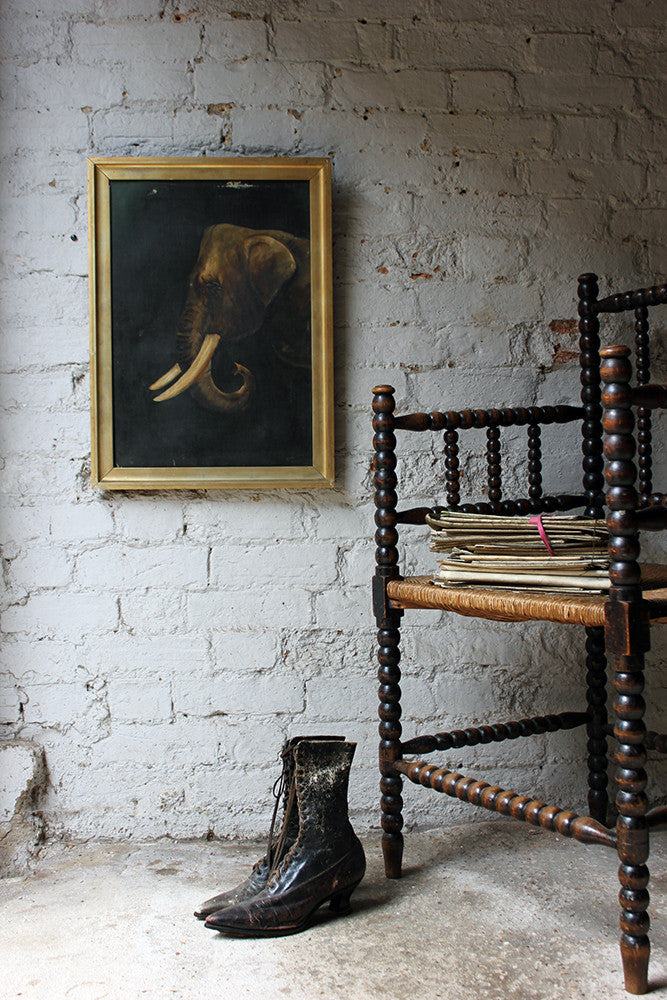 A Charming Edwardian Period English School Oil on Canvas of an African Elephant Dated to 1906 by E Whiteley