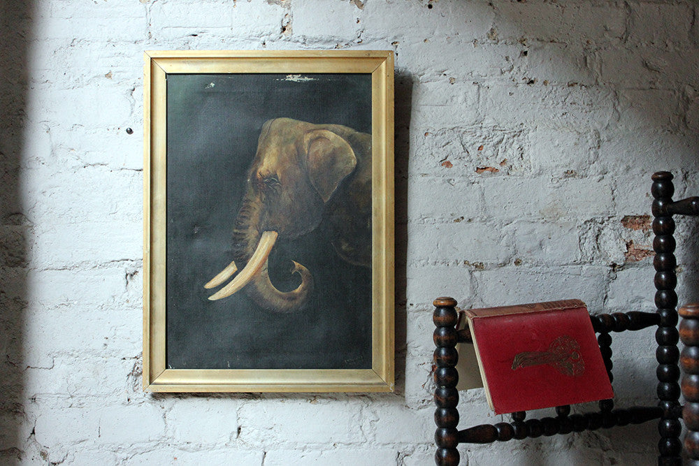A Charming Edwardian Period English School Oil on Canvas of an African Elephant Dated to 1906 by E Whiteley