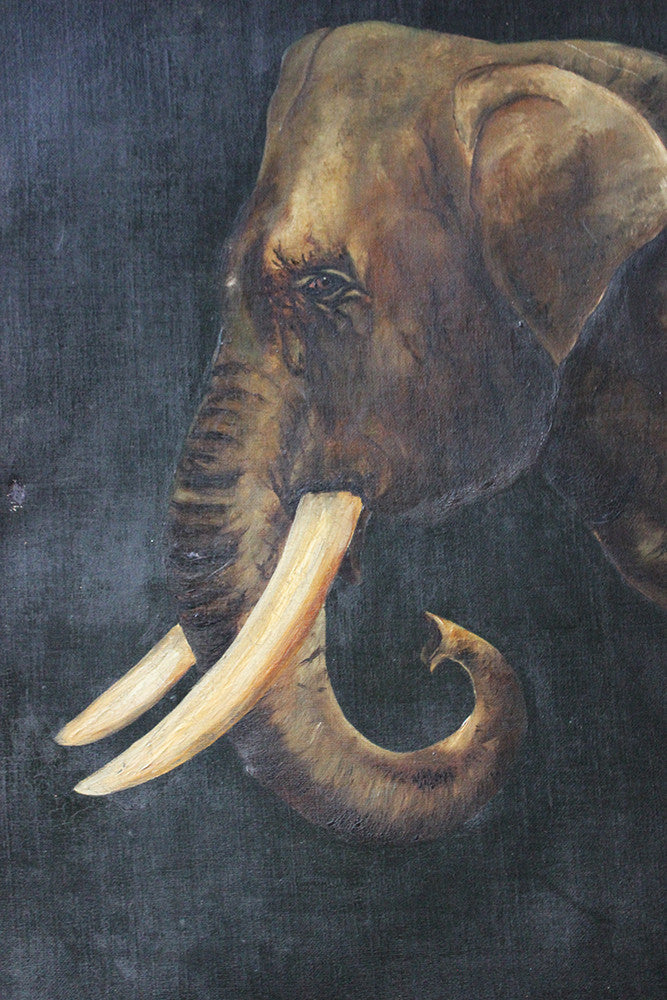 A Charming Edwardian Period English School Oil on Canvas of an African Elephant Dated to 1906 by E Whiteley