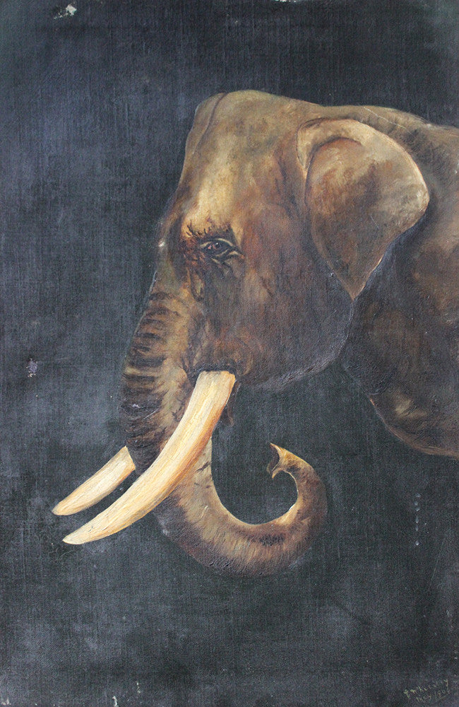 A Charming Edwardian Period English School Oil on Canvas of an African Elephant Dated to 1906 by E Whiteley