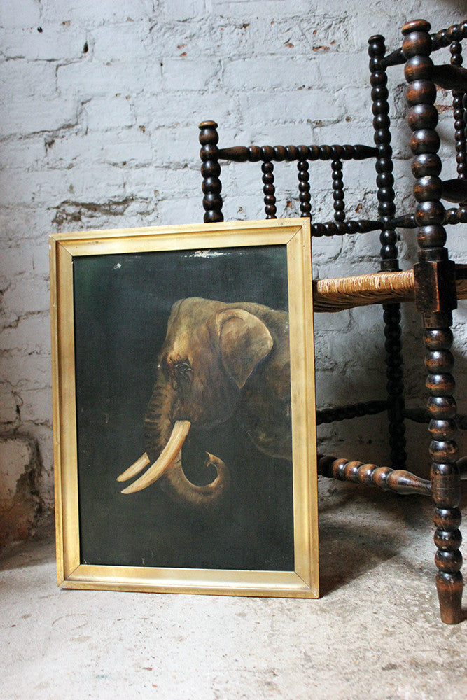 A Charming Edwardian Period English School Oil on Canvas of an African Elephant Dated to 1906 by E Whiteley