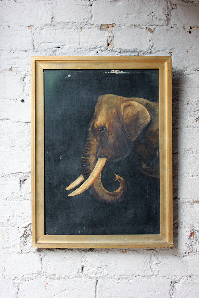 A Charming Edwardian Period English School Oil on Canvas of an African Elephant Dated to 1906 by E Whiteley