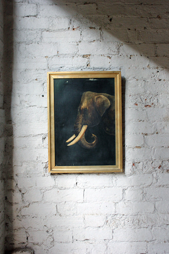 A Charming Edwardian Period English School Oil on Canvas of an African Elephant Dated to 1906 by E Whiteley