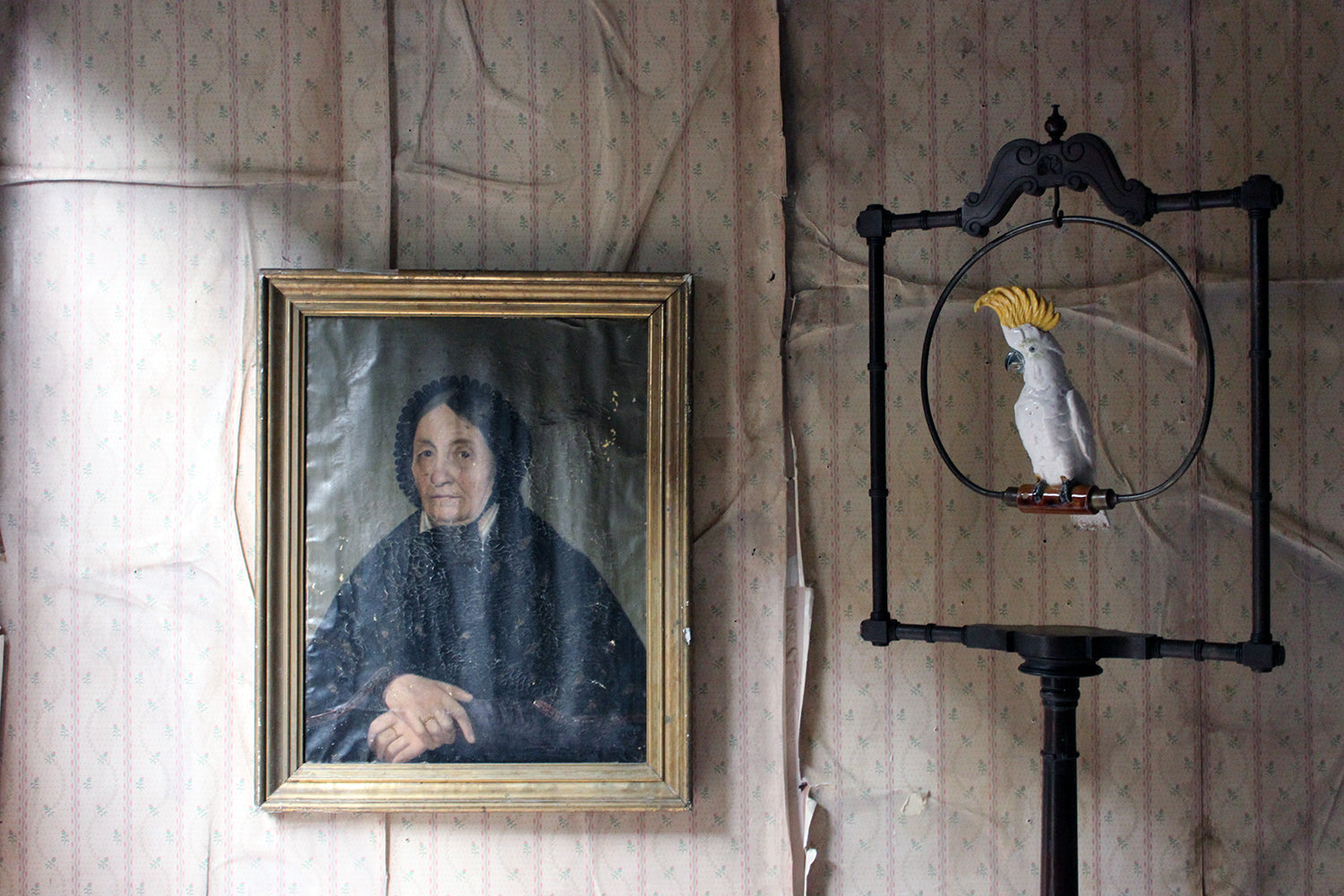 A 19thC French School Oil on Canvas Portrait of an Elderly Lady in Mourning c.1870-80