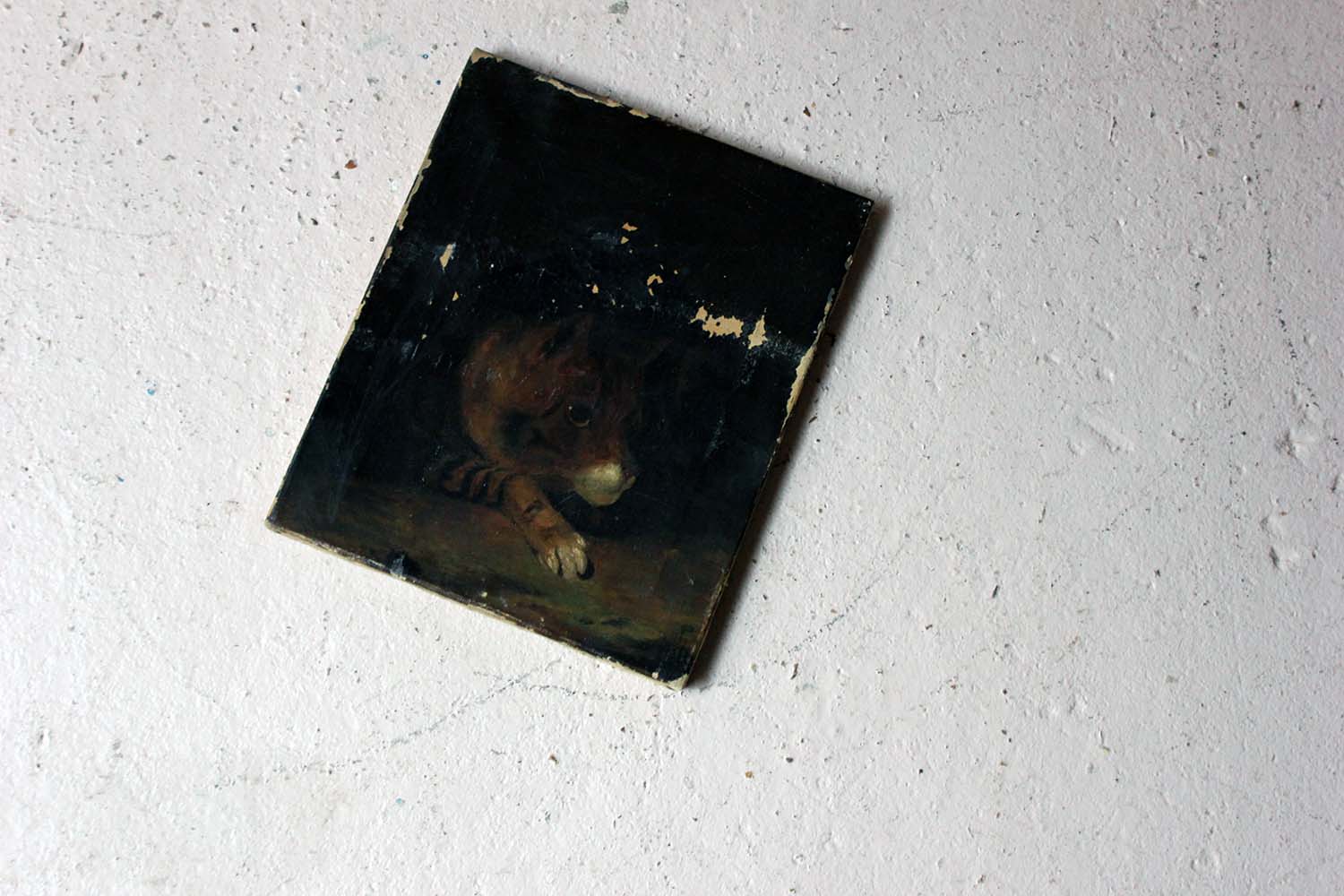 A 19thC English School Oil on Canvas Study of a Cat c.1882