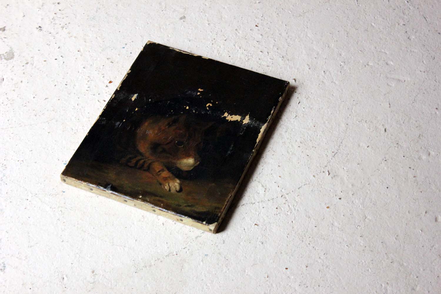 A 19thC English School Oil on Canvas Study of a Cat c.1882
