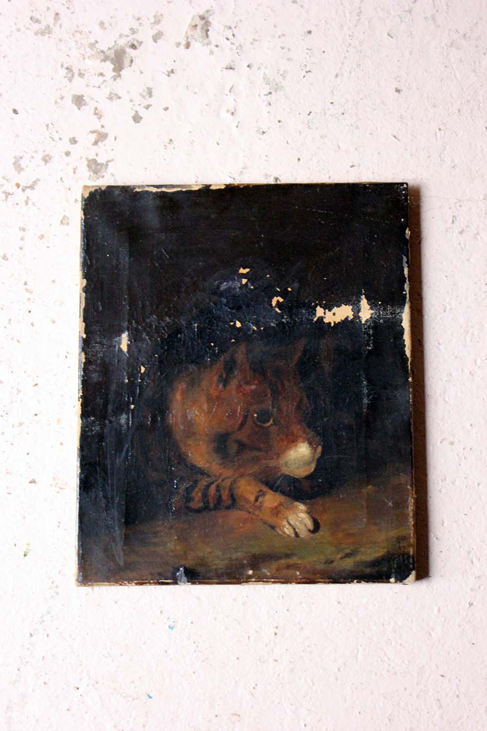 A 19thC English School Oil on Canvas Study of a Cat c.1882