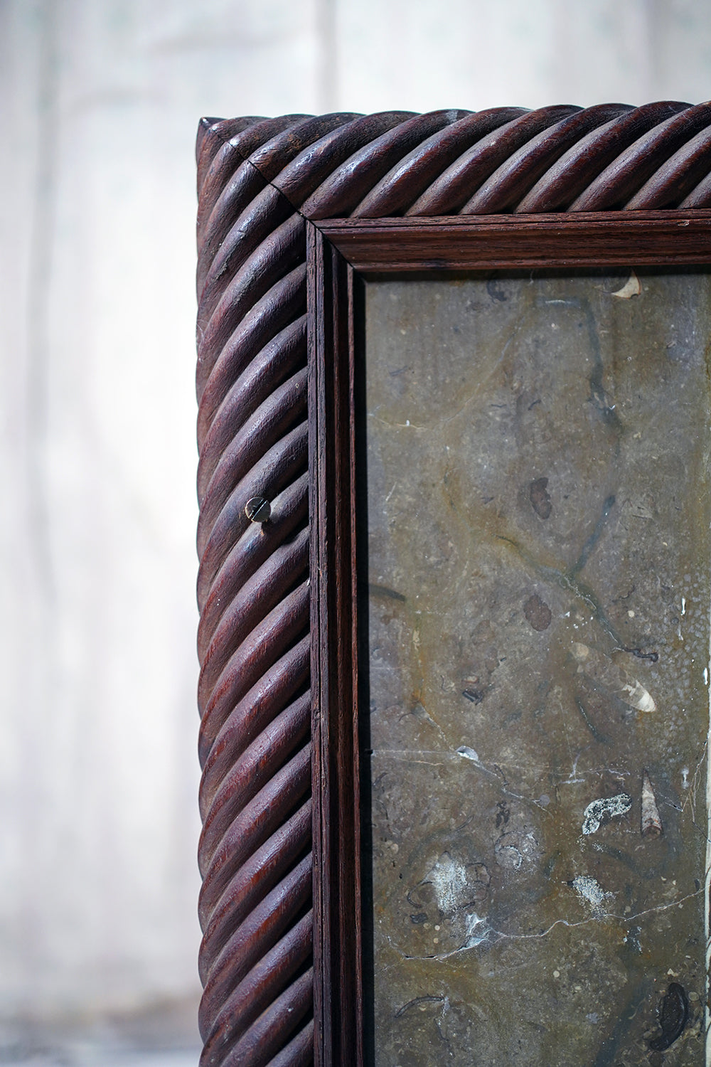 A Good Ordovician Period Orthoceras Specimen in a William IV Frame