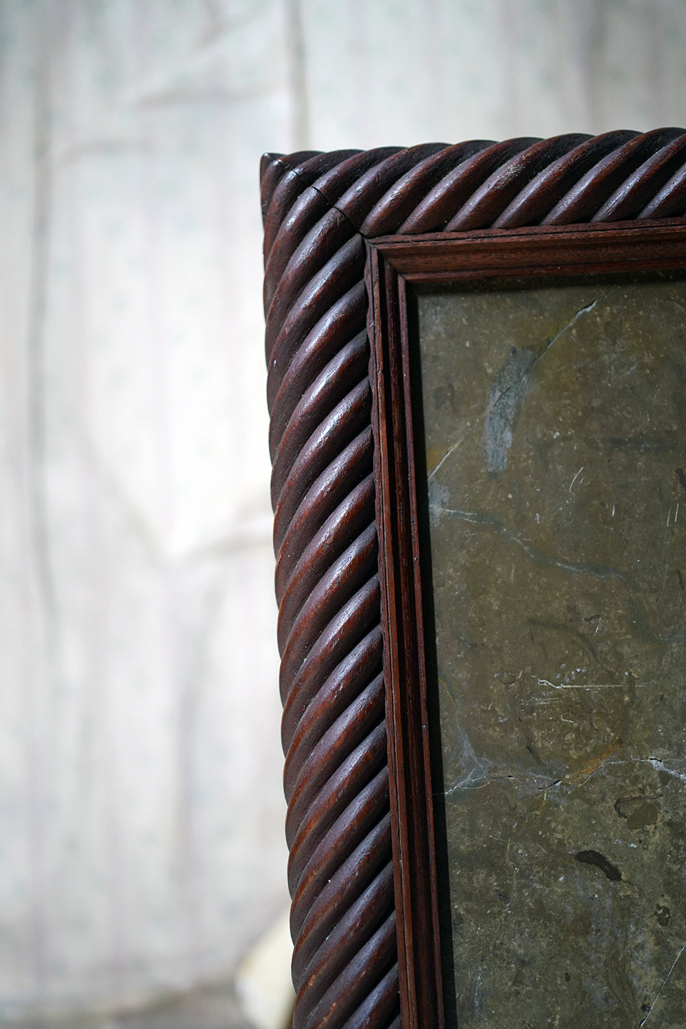 A Good Ordovician Period Orthoceras Specimen in a William IV Frame