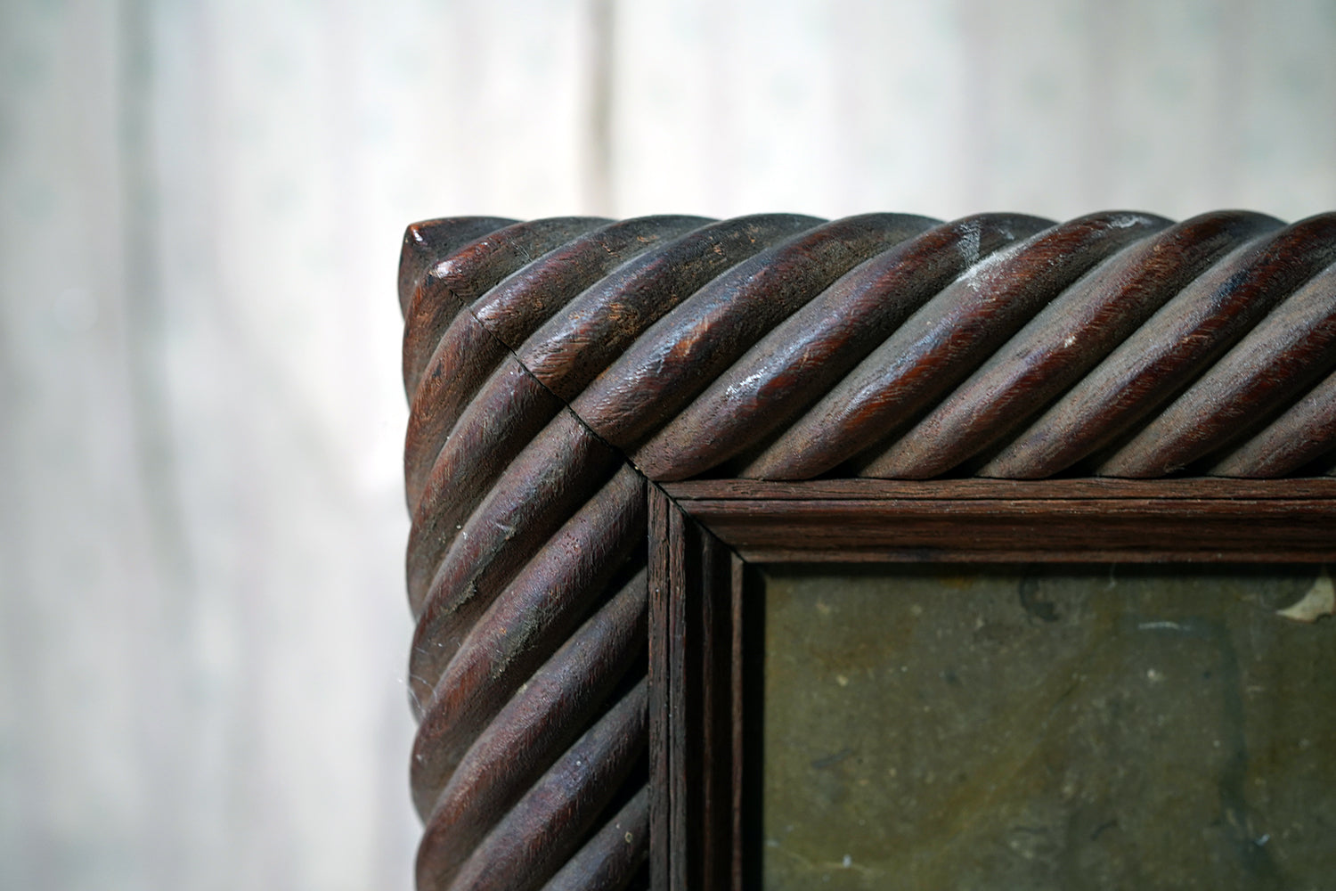 A Good Ordovician Period Orthoceras Specimen in a William IV Frame