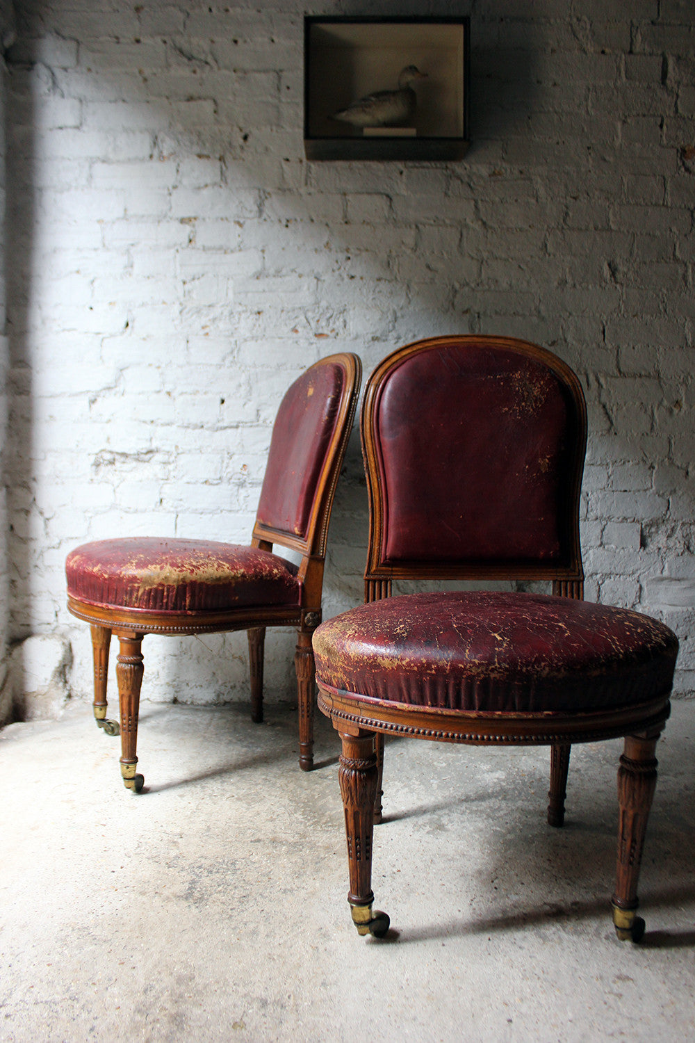 A Good Pair of Early Victorian Golden Oak & Leather Upholstered Library Chairs c.1840-50