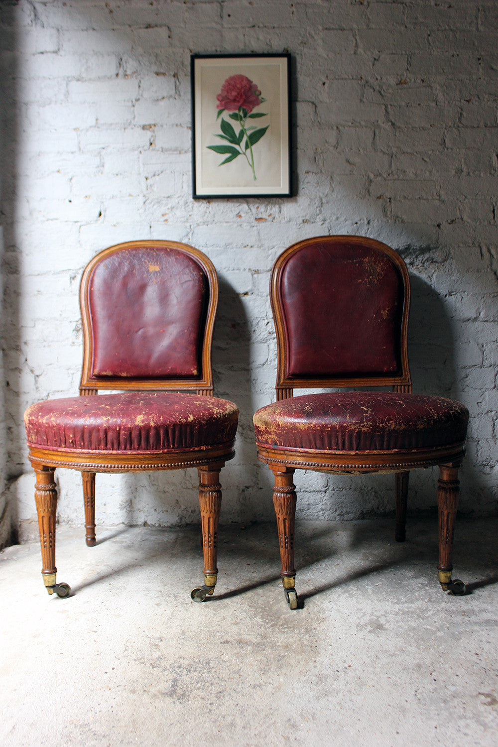 A Good Pair of Early Victorian Golden Oak & Leather Upholstered Library Chairs c.1840-50