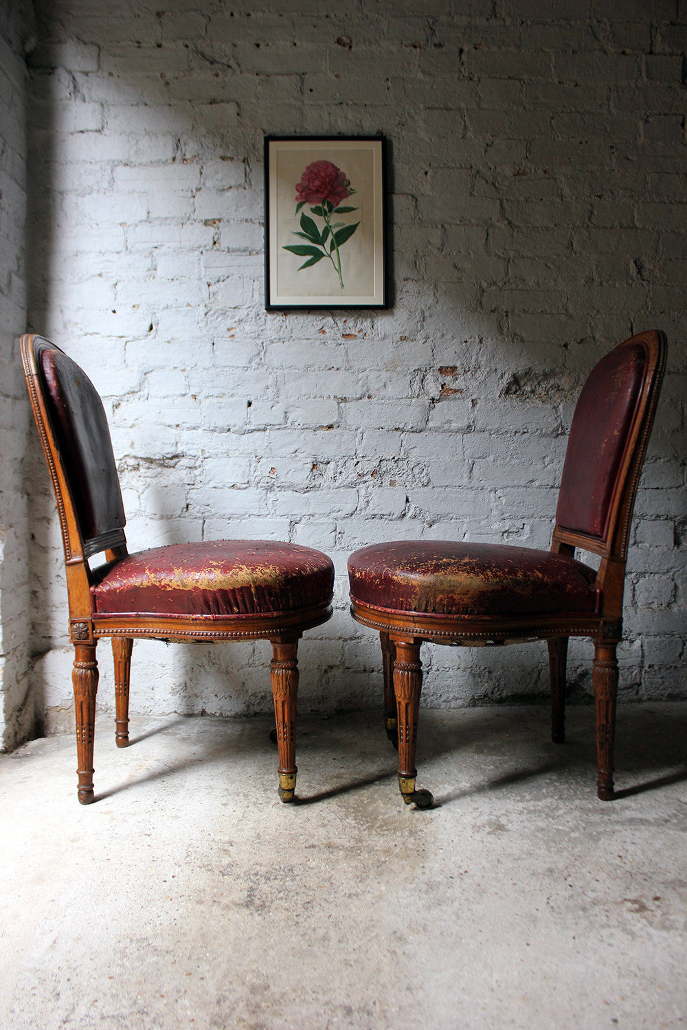 A Good Pair of Early Victorian Golden Oak & Leather Upholstered Library Chairs c.1840-50