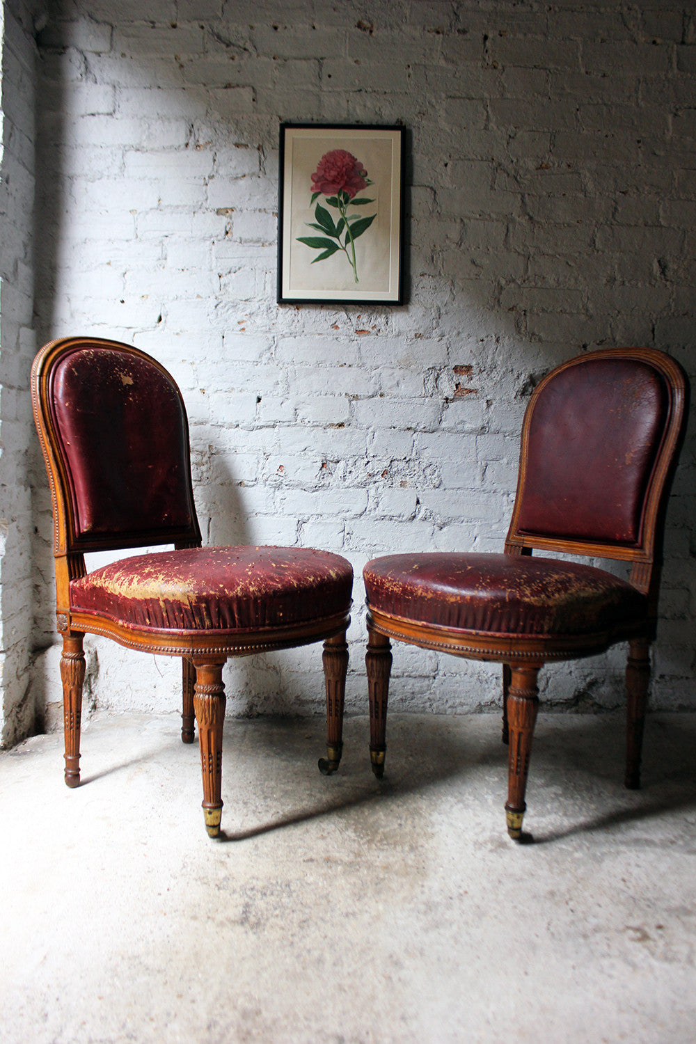 A Good Pair of Early Victorian Golden Oak & Leather Upholstered Library Chairs c.1840-50