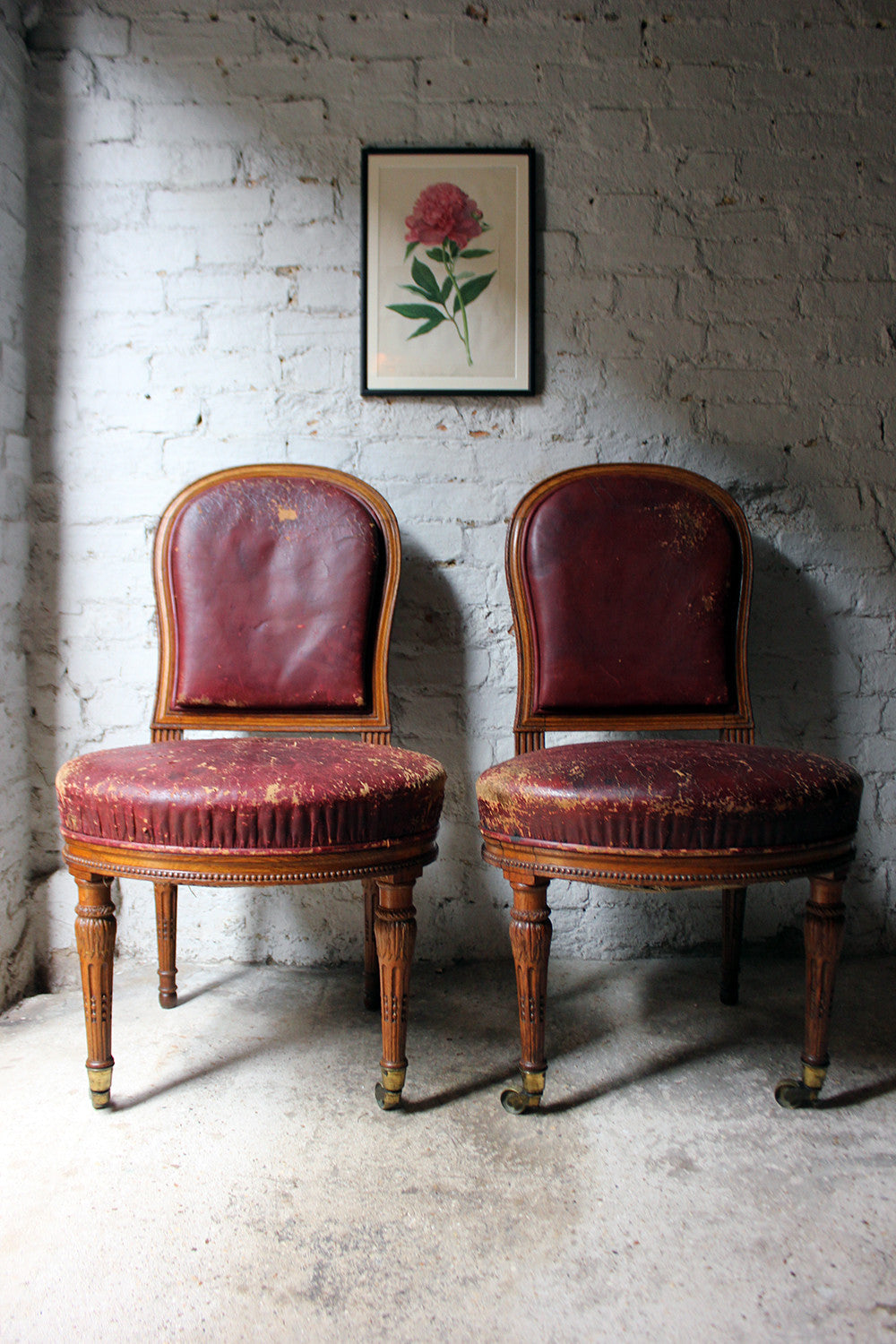 A Good Pair of Early Victorian Golden Oak & Leather Upholstered Library Chairs c.1840-50