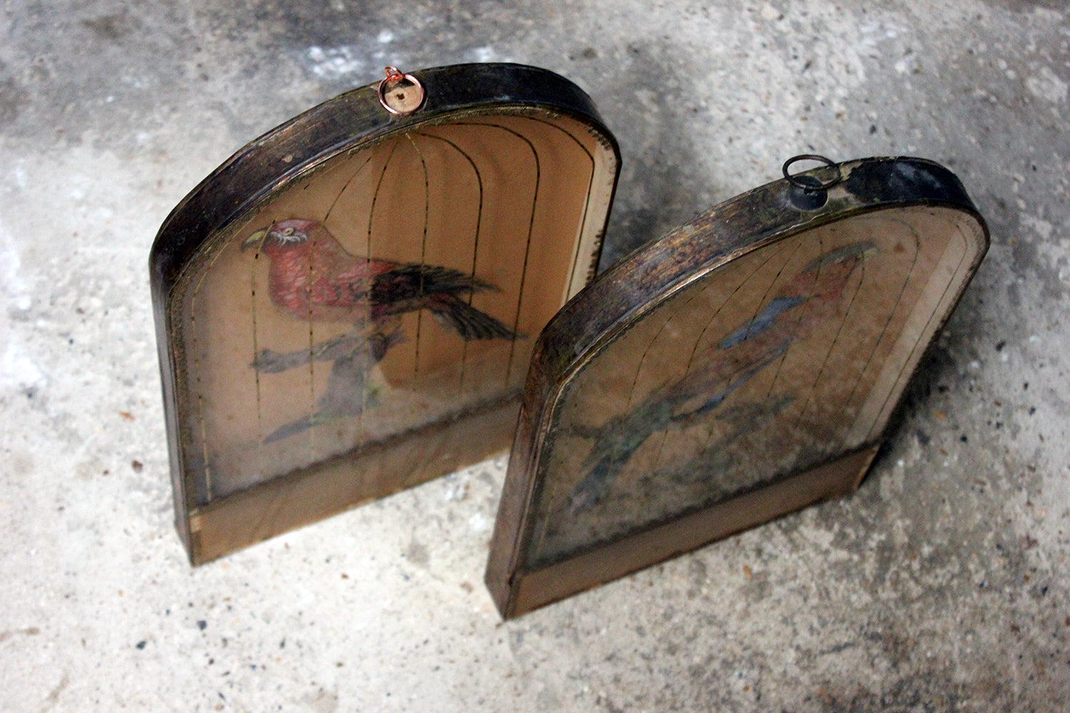 A Charming & Unusual Pair of Early 19thC Continental Appliqué Paper Pictures In The Form of Caged African Parrots c.1800-25
