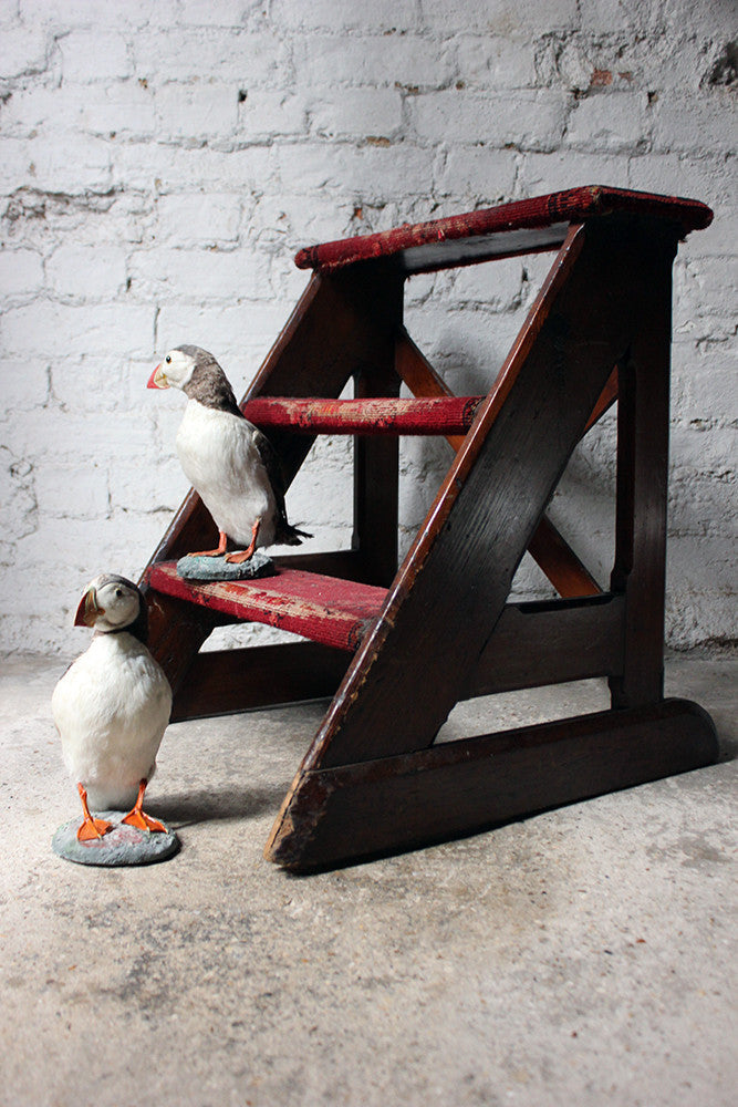 A Delightful Pair of Mid 20thC Taxidermy Atlantic Puffins