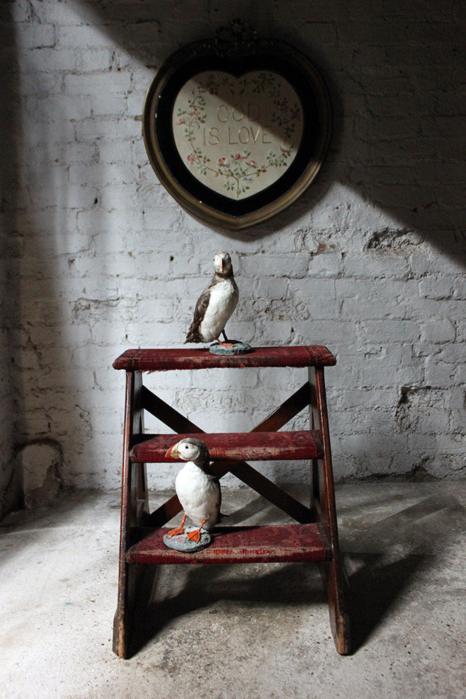 A Delightful Pair of Mid 20thC Taxidermy Atlantic Puffins