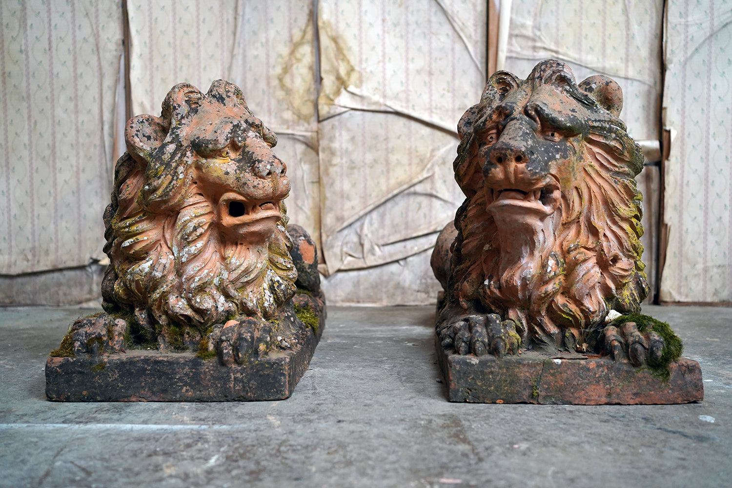 A Good Pair of Large Mid-19thC Terracotta Recumbent Lions c.1860