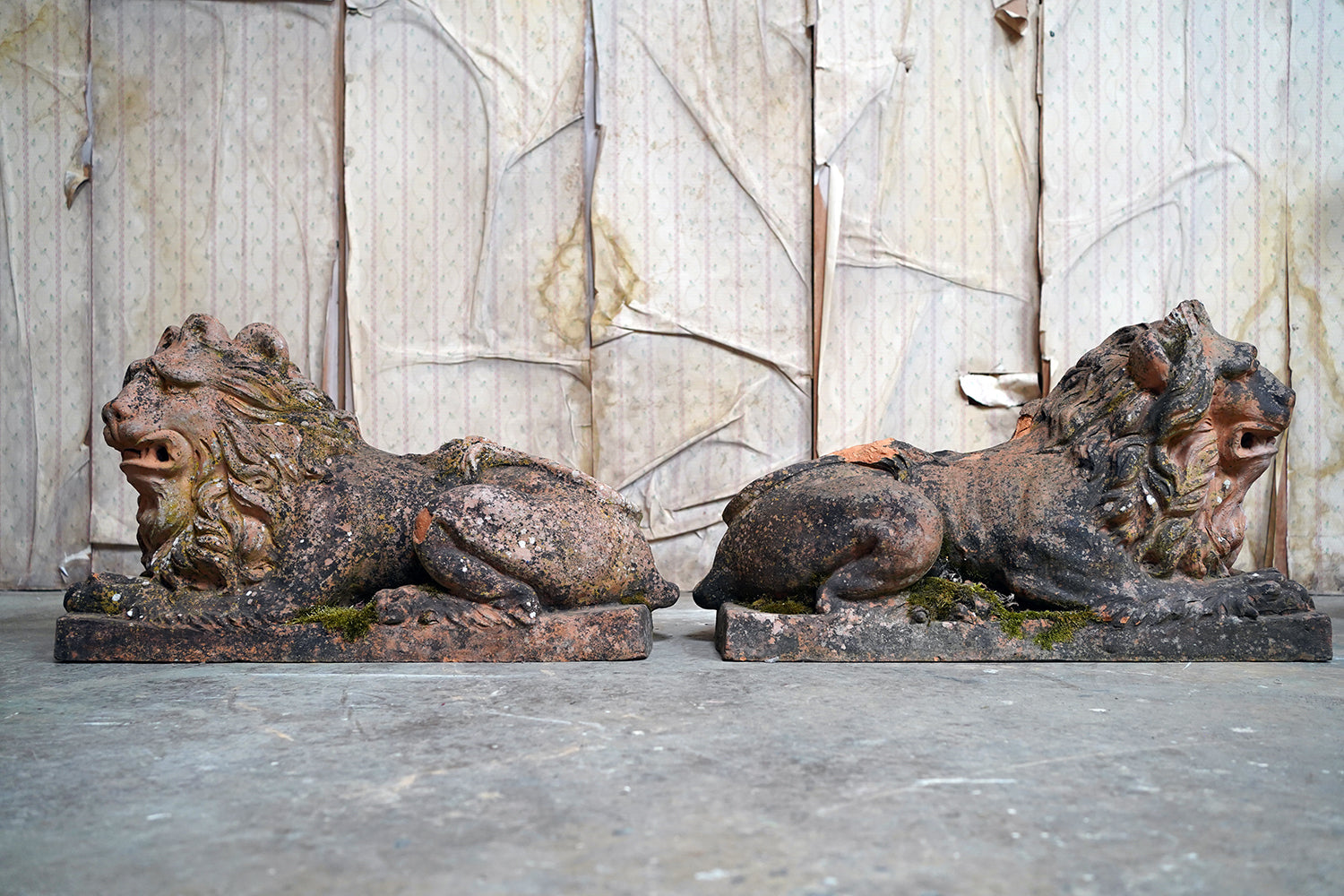 A Good Pair of Large Mid-19thC Terracotta Recumbent Lions c.1860
