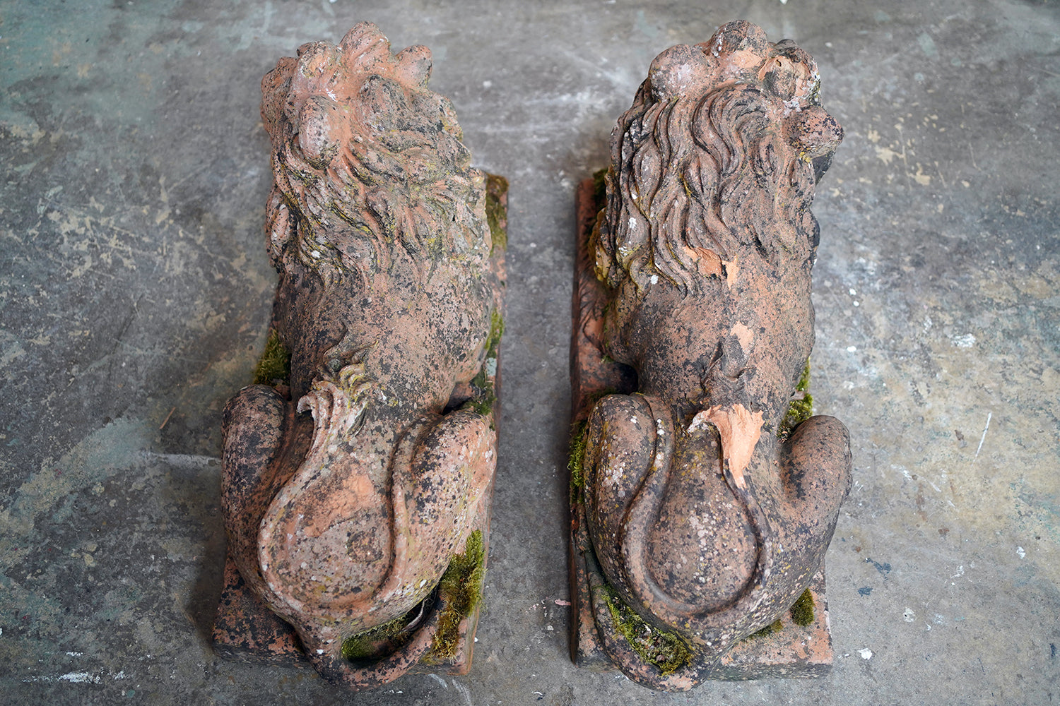 A Good Pair of Large Mid-19thC Terracotta Recumbent Lions c.1860