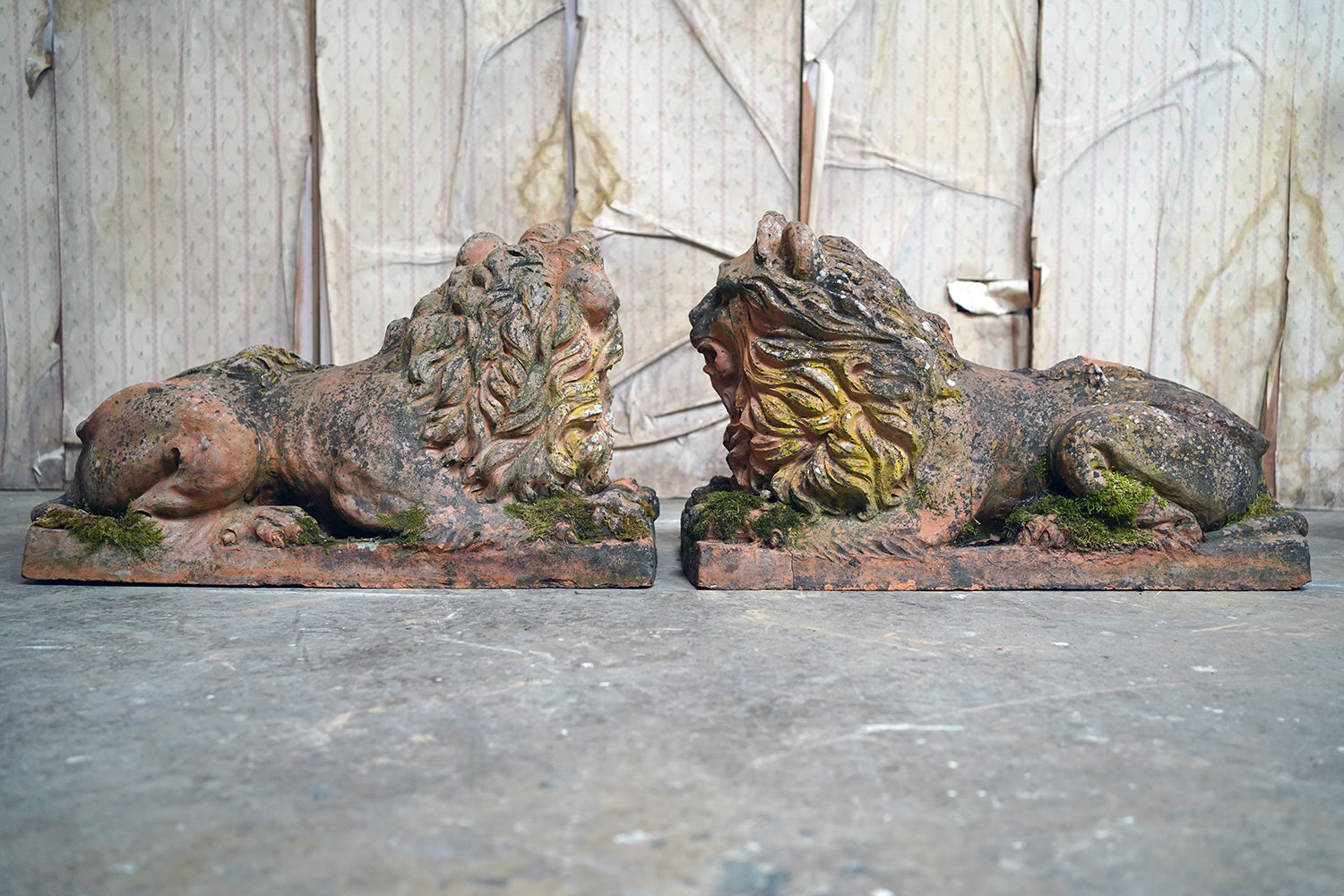 A Good Pair of Large Mid-19thC Terracotta Recumbent Lions c.1860