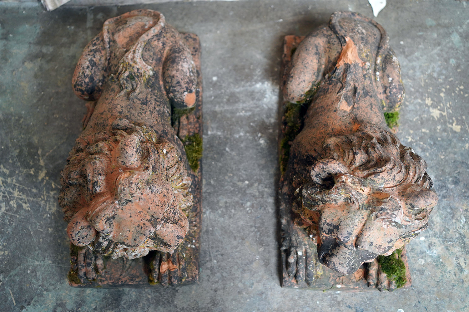 A Good Pair of Large Mid-19thC Terracotta Recumbent Lions c.1860