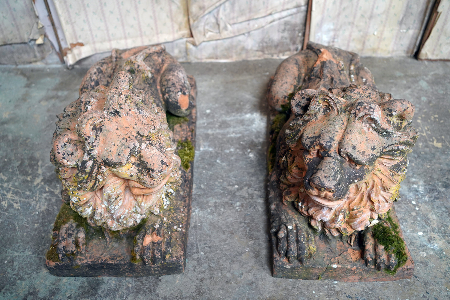A Good Pair of Large Mid-19thC Terracotta Recumbent Lions c.1860
