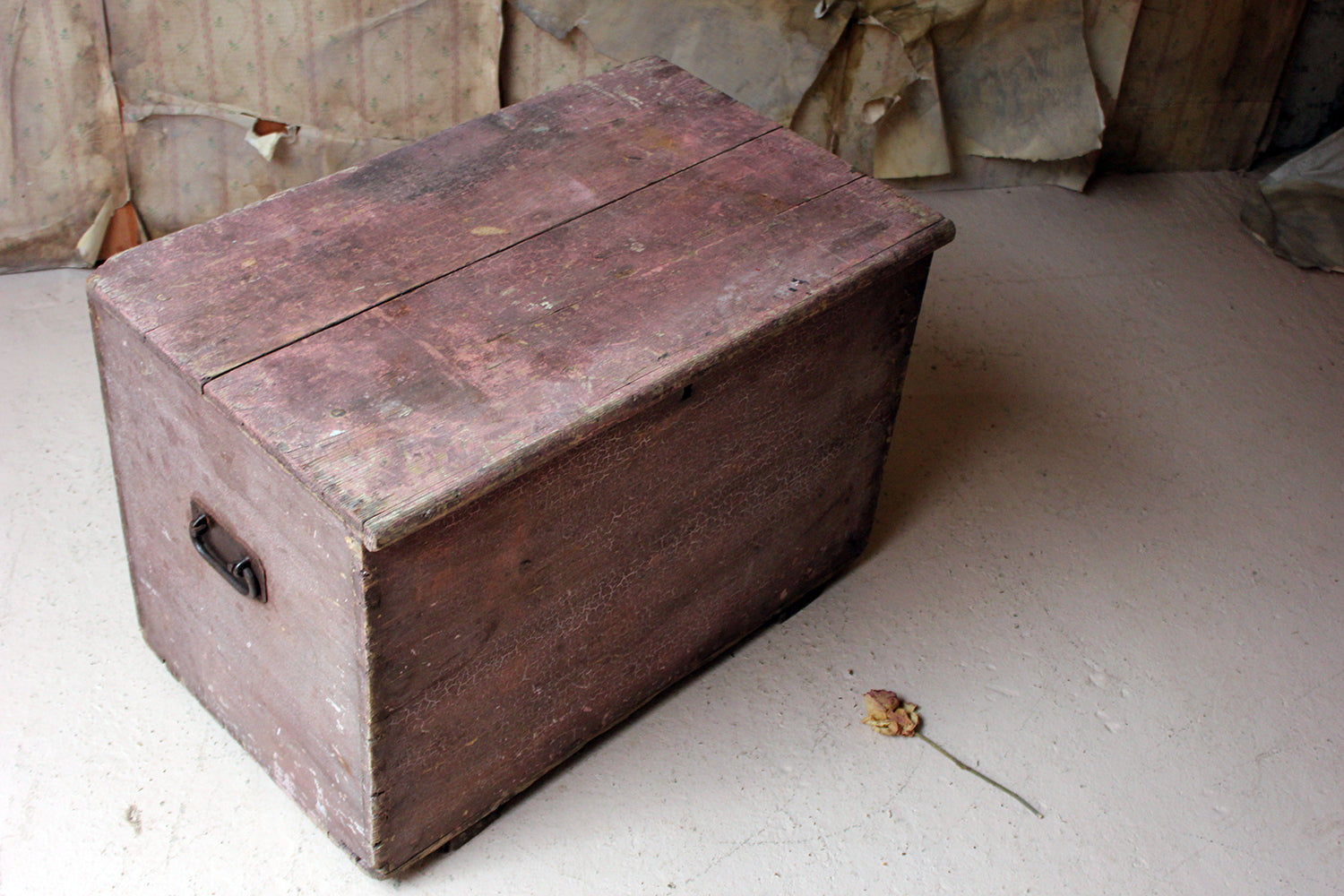 A Decorative Late Victorian Pink Painted Pine Trunk c.1900