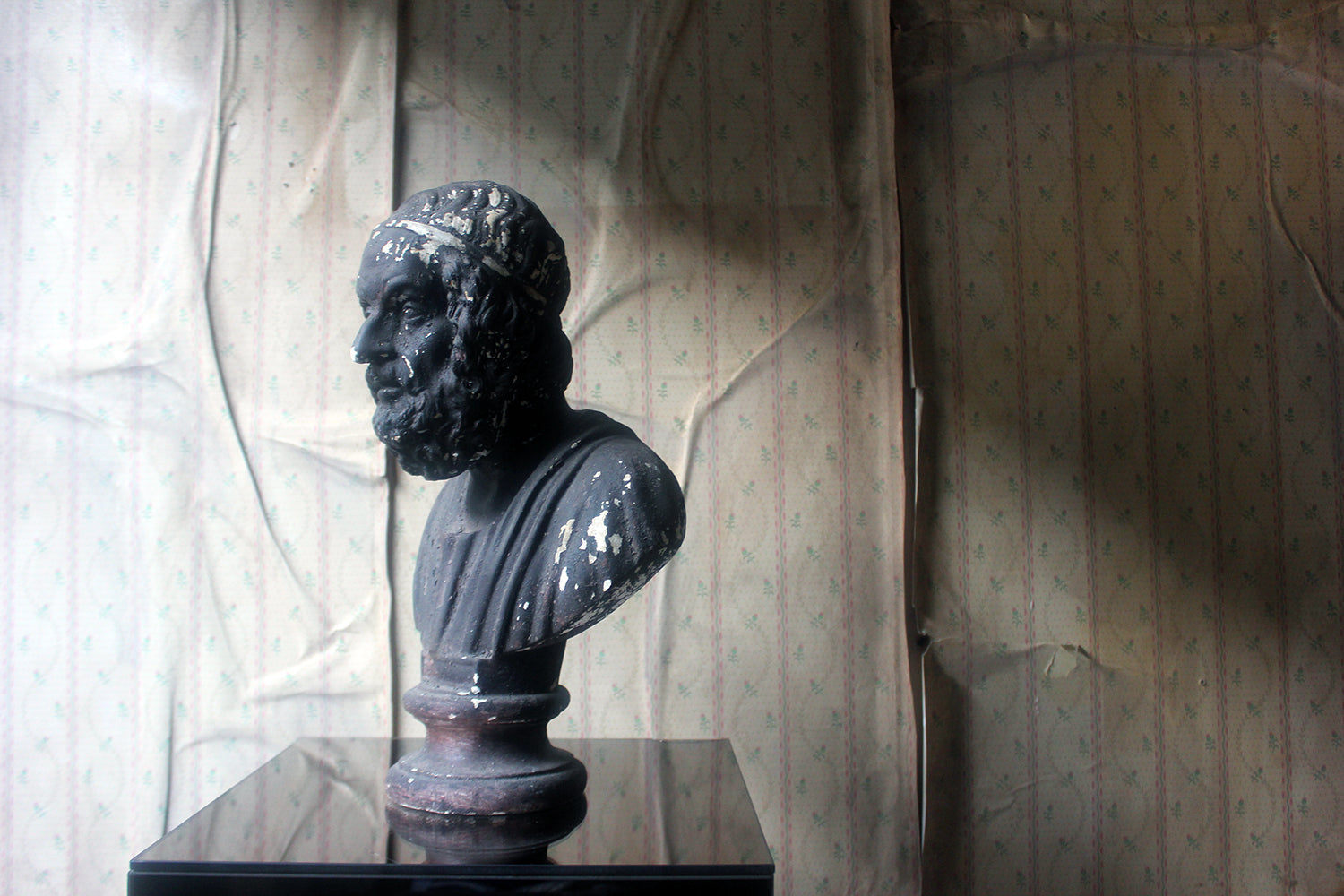 A Decorative Black Painted Plaster Portrait Bust of Homer c.1900